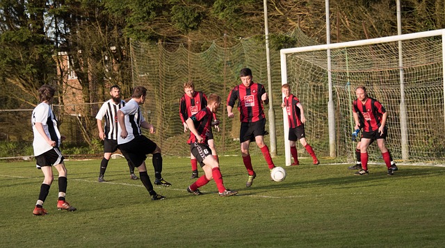 的有力争夺 的有力争夺