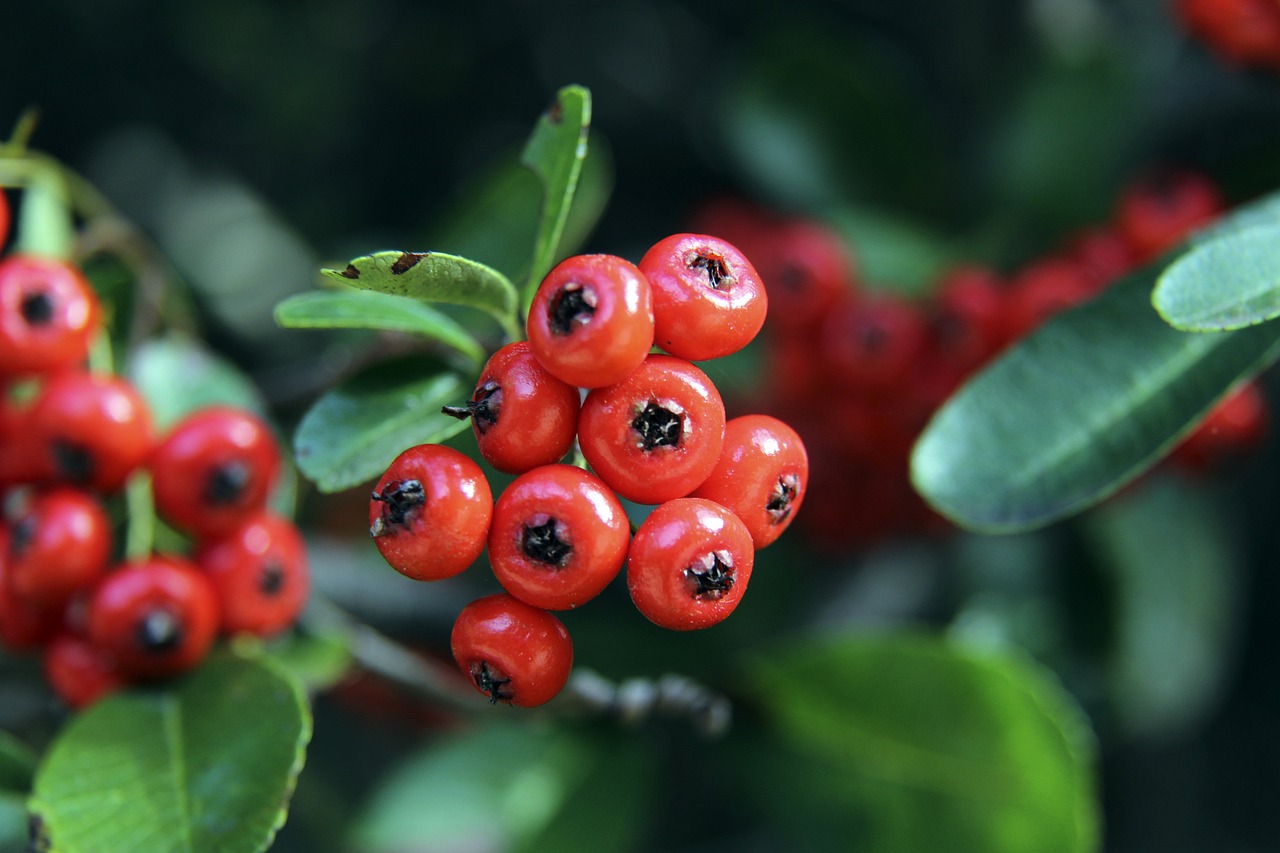 岁的韩国后 岁的韩国后