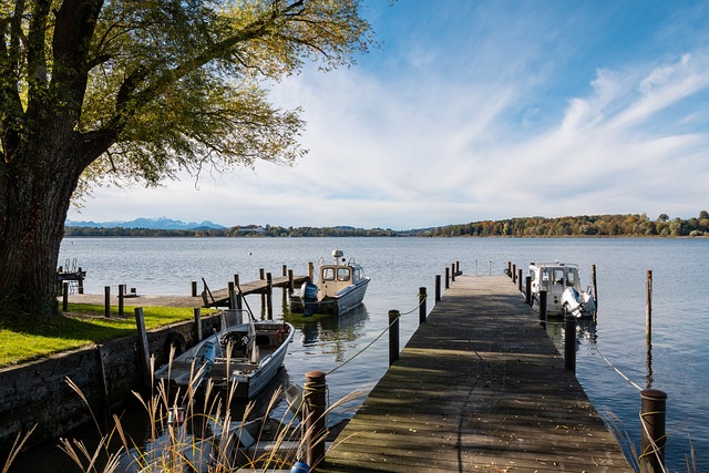 迷和评论员 迷和评论员