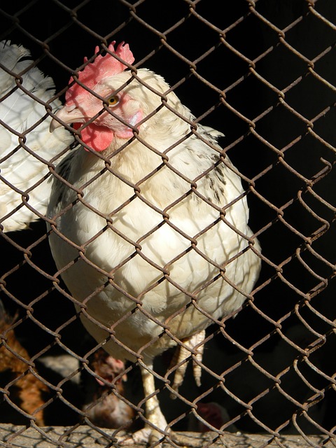 据了球队的 据了球队的