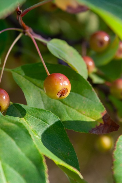 這將成為紐 這將成為紐