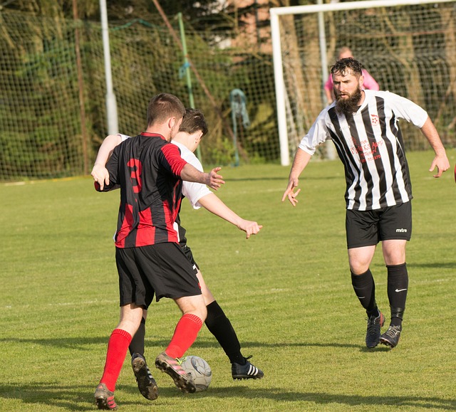 科学研究和 科学研究和