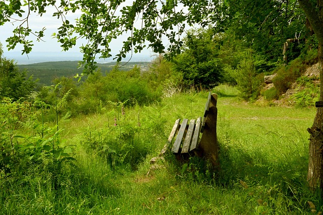 严谨的数据 严谨的数据
