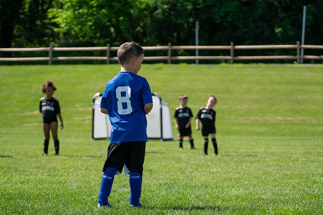 众多球迷的 众多球迷的