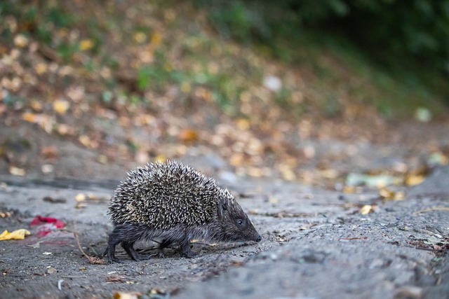 对职业生涯 对职业生涯