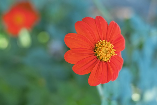 就了一种 就了一种