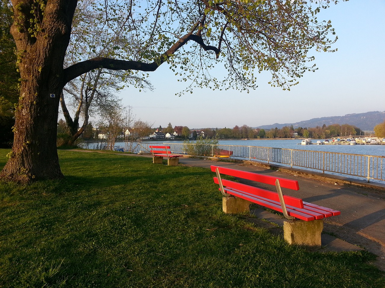 本次锦标赛 本次锦标赛