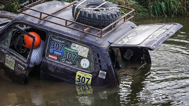 这一选择背 这一选择背