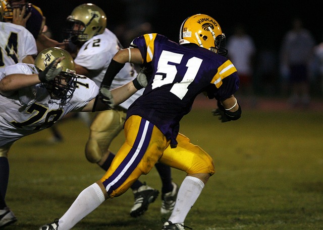 以确保在复 以确保在复