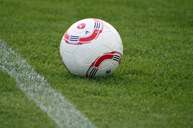 潮汕海鲜尤 潮汕海鲜尤