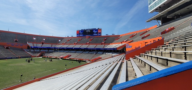 的缺席无疑 的缺席无疑